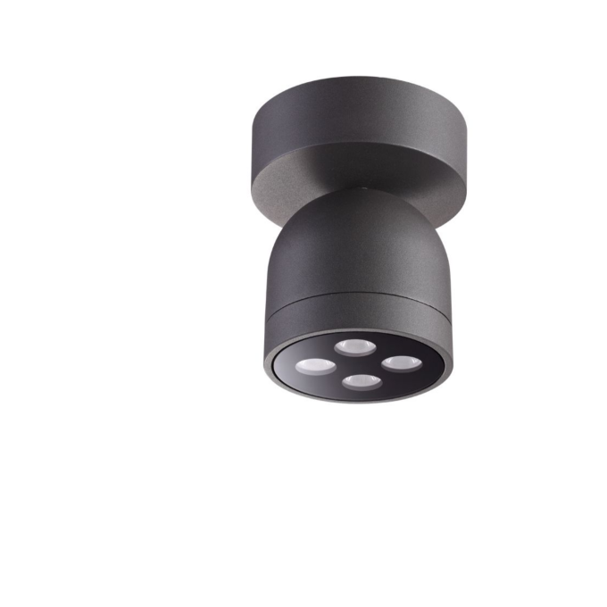 Уличный потолочный светильник NOVOTECH GALEATI 358118 NV-358118